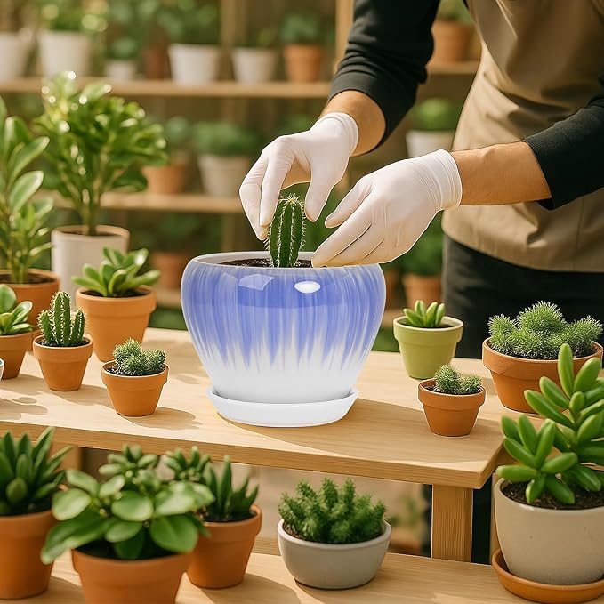 Deep Dream 6 Inch Plant Pots- Ceramic Planter Pot with Drainage Hole and Saucer, Round Flower Pot for Indoor Outdoor Succulent, Snake Plants and Cactus, White&Blue