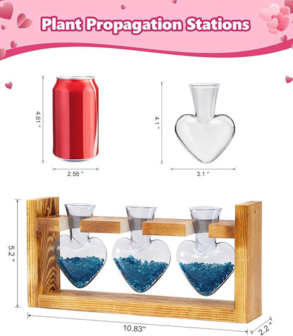 Nacome Plant Terrarium Propagation Stations: Birthday Gifts for Plant Lovers Women Mom Wife Daughter - 3 Bulb Glass Vase with Wooden Stand Tabletop for Hydroponics Home Garden Decor(Gray)