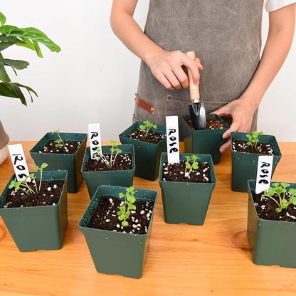 June Fox 100 Pack Green Square Nursery Pots with Drainage Holes 3.3 Inches Flexible Plastic Seedling Pots Square Pots for Plants, Succulent, Flower, with Plant Labels