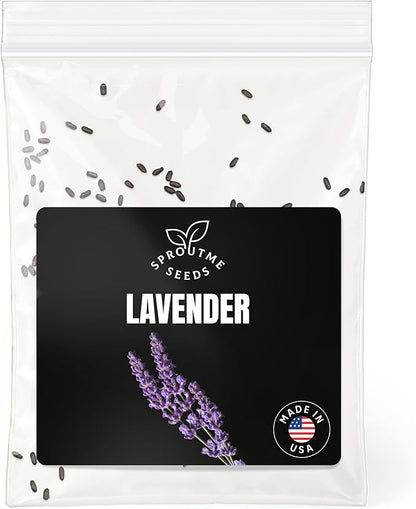 Lavender Vera Seeds for Planting – 100+ Heirloom English Lavender, Non-GMO, Fragrant Purple Flowers for Culinary Use & Pollinator Gardens, High Germination (Lavandula angustifolia)