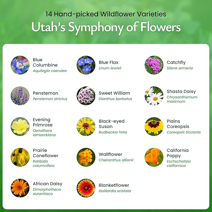Created By Nature Utah Wildflower Seed Mix, 14 Flower Varieties, 53,000 Seeds