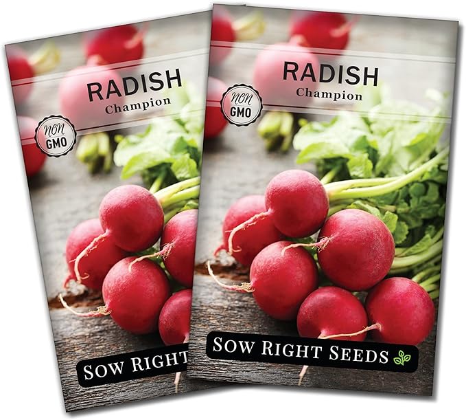 Sow Right Seeds - Champion Radish Seed for Planting - Non-GMO Heirloom Packet with Instructions to Plant a Home Vegetable Garden - Grow This Classic Red Variety - Spicy Cherry Type, Fast Growing (2)