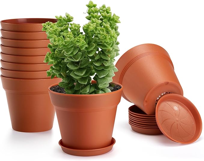 10 Pack Plastic Plant Pots with Drainage Holes and Tray, 6 inch Thickened Indoor Planters Seedlings Nursery Pots for Flowers, African Violet, Succulent and All House Plants, Terracotta