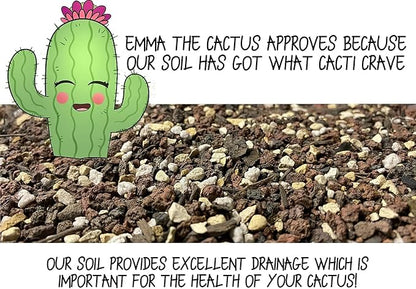 Cactus Soil Potting Mix with Mycorrhizal Fungi - 4 Quarts of Soil for Succulents and Cactus - High Drainage, Slightly Acidic, Soil for Healthy and Happy Indoor Plants