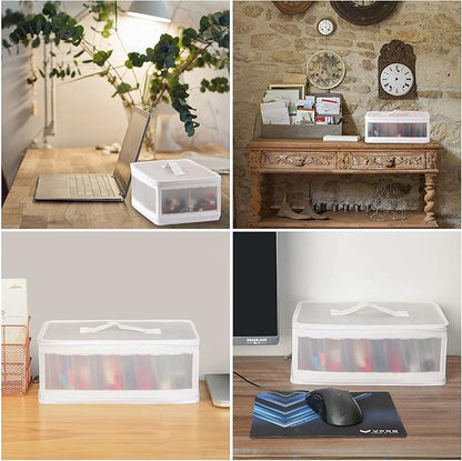 Photo Storage Bag 4x6, 10 Inner Large Photo Storage Box Photo Cases Store up to 1000 Photos, Photo Organizer Cards Craft Keeper with Handle for Photo Puzzles Cards Seed Packets (White)