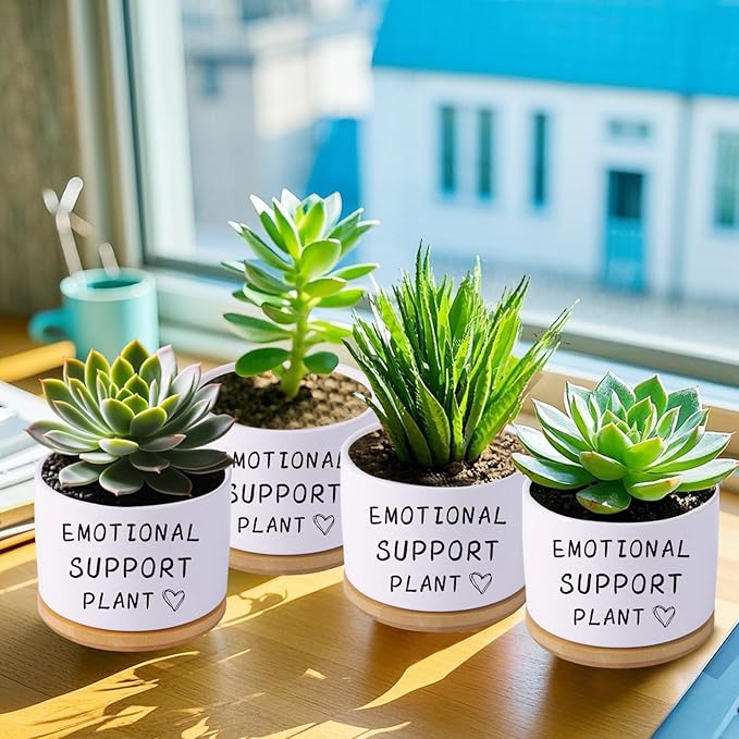 Funny planters for Indoor Plants, for Planter Lover,Indoor Plants Garden Planters Succulent Pots, with Drainage Holes and Saucer(No Plants) (Emotional Support Plant)