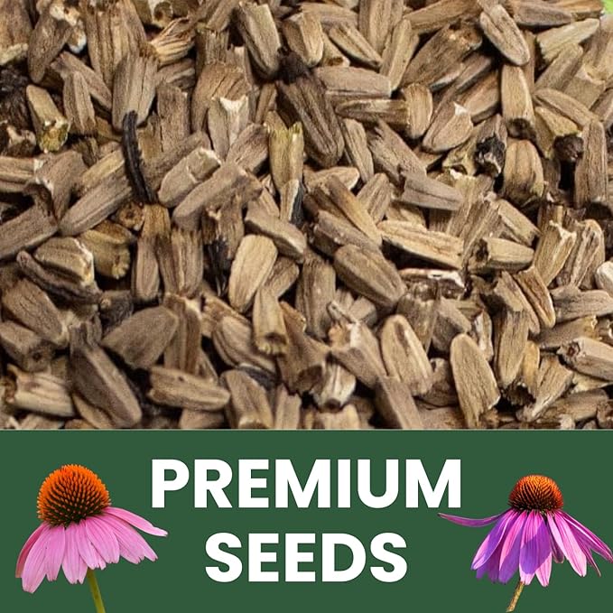 Purple Coneflower – 1,250 Seeds for Planting – 2026 Season – 5 Gram Pouch