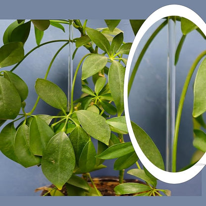 30 Pcs 18 Inch Acrylic Plant Stakes Garden Stakes Clear Orchid Stakes Clear Plant Sticks Potted Plant Christmas Support Stakes for Support Vines Grow Upright Indoor Outdoor Plants