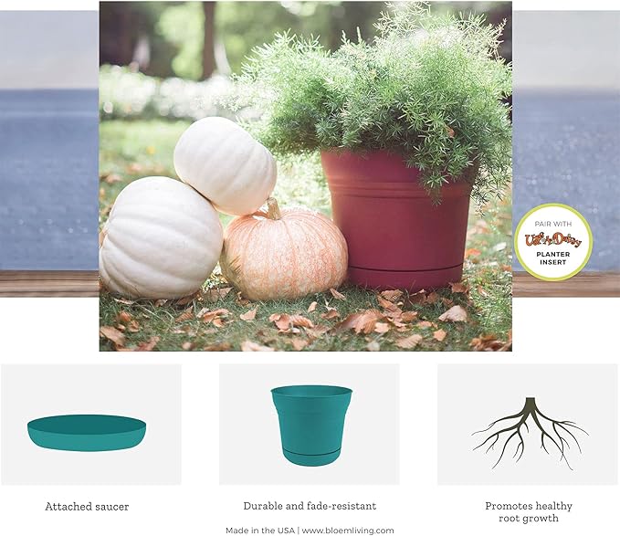 Bloem 010280 Saturn Planter with Saucer, 5", Black (SP0500), 5"