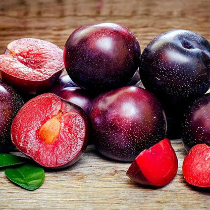 10+ Wild Plum Trees Fruit Seeds for Planting Outdoor-Perennial Native Prunus Seeds Americana Non-GMO Heirloom Fruit Trees Seed for Home Outdoor Garden