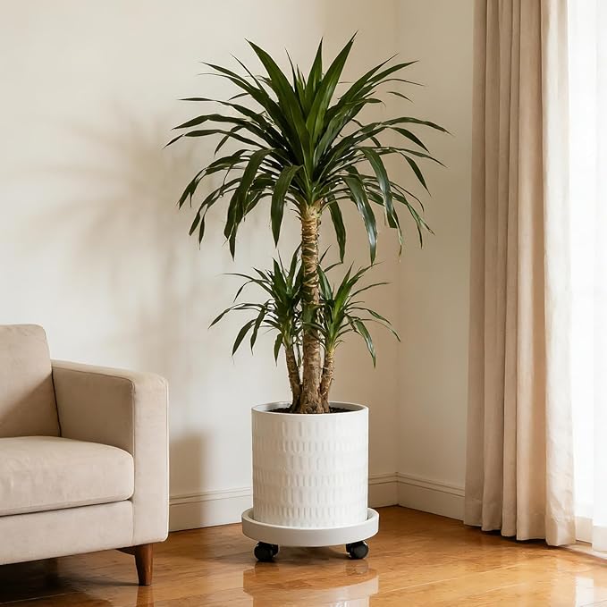 12 Inch Plant Pot with Caddy,Ceramic Planter with Drainage,Large Planters for Indoor Plants,Indoor&Outdoor Plant pots,Ceramic Flower pots,Cylinder Flower Planter Pot(Pure White)