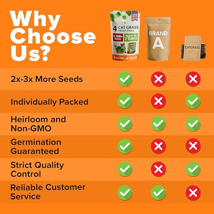 HOME GROWN Cat Grass Seed Mix – Non-GMO Oat, Alfalfa, Rye & Wheat Seeds for Cats | Indoor Pet Grass with Fast Germination | Digestive Aid, Hairball Relief & Safe Chew Alternative