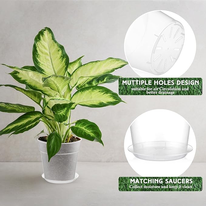 Baderke 3 Pack Clear Nursery Pot Plastic Nursery Pot Large Plant with Drainage Holes for Root Health Indoor Outdoor(9.65 Inches)