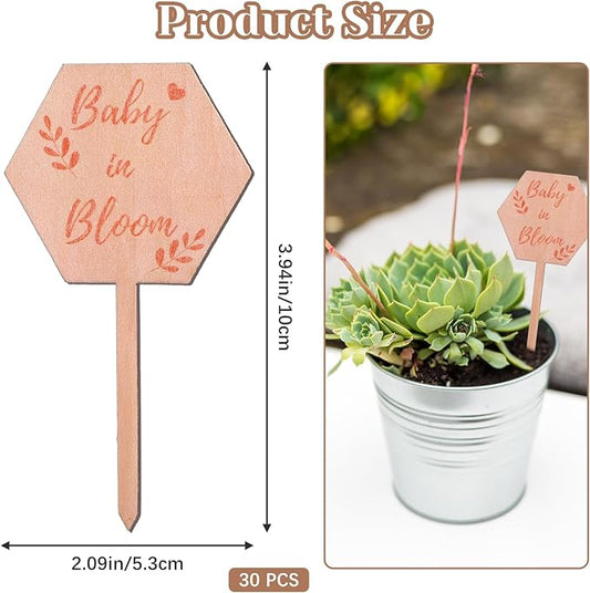 30PCS Baby in Bloom Sign Hexagon Wooden Tags, Succulent Plant Stakes Labels Gifts for Baby Shower Favors Garden Decor, Welcome Gift Markers for Party and Floral Celebration, Succulent Plant Markers