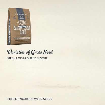 O.M. Scott and Sons Sheep Fescue Seed, Naturally Drought Tolerant Grass, Covers up to 300 sq. ft., 0.9 lb.
