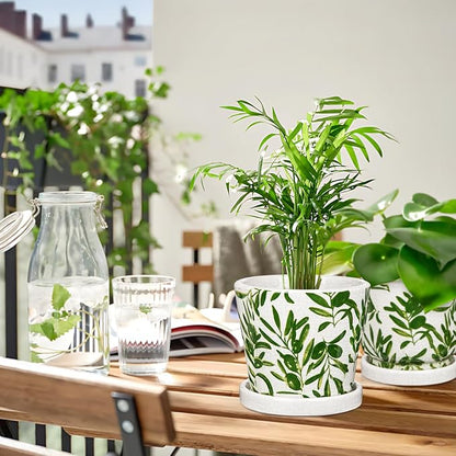 Oairse Small Ceramic Pot for Indoor Plants - 5.5 inch Plant Pot with Drainage Hole and Saucer Olive Leaves Decorative Planter Indoor Outdoor Flower Pots for Succulent Snake Pothos Plant Cactus Orchid