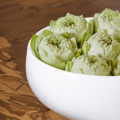 Baderke 2 Pcs Lotus Bowl Planter with Base Ceramic Hydroponic Planter Water Lily Bowl for Planting Aquatic and Indoor Plants Household Ceramic Basin Decor(White)