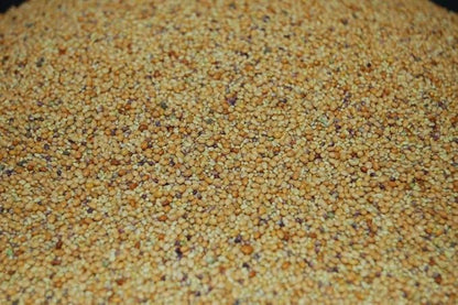 Tri-Clover by Eretz - Three Part Blend of Clovers Providing Beauty, Cover, and Natural Attractant. No Coatings or Fillers, Premium Seeds (1lb)