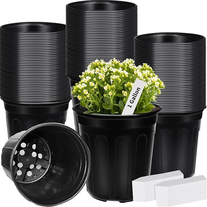 400 Pcs 1 Gallon Plastic Plants Nursery Pot with Plant Labels Seed Starting Pots Plastic Pots with Drainage Hole for Seedlings, Cuttings, Transplanting (400, 1 Gallon)