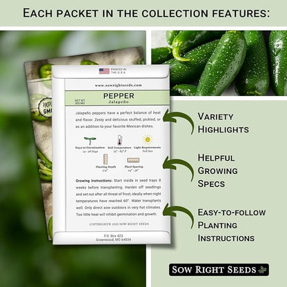 Sow Right Seeds - Salsa Seed Collection for Planting - Jalapeno, Cilantro, Roma Tomato, Tomatillo, and Red Onion - Non-GMO Heirloom Seeds with Instructions to Plant Your Own Home Vegetable Garden