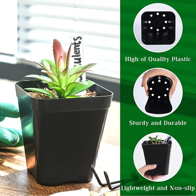 June Fox Plastic Seedling Pots, 60 Pack Square Nursery Pots 4 Inch, Small Plant Pots with Drainage Holes for Seedlings, Succulents, Cuttings (Black)