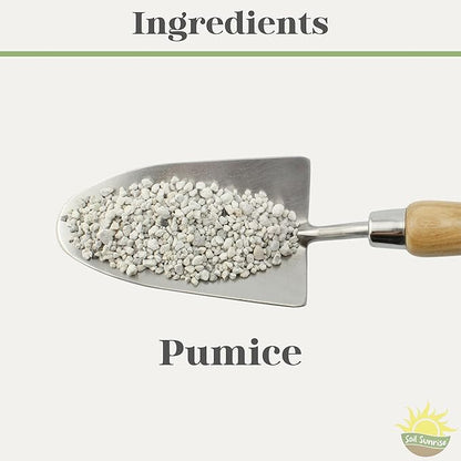 Soil Sunrise Horticultural Bonsai Pumice Soil Additive (4 Quarts) 7LB Ideal Substrate for Bonsai Trees, Cactus and Succulents