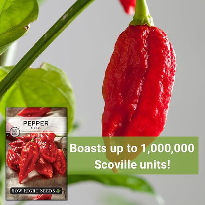 Sow Right Seeds - Ghost Pepper Seeds for Planting - Extra Hot Non-GMO Heirloom Peppers - Ideal for Indoor or Outdoor Gardens - Grow Your Own Hottest Pepper Plants - High Scoville Rating (4)