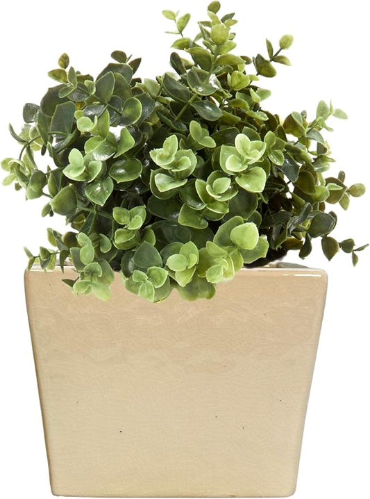 Admired by Nature 6" Ceramic Flower Planter Pot - for Home Decor, Indoor Gardens, Succulents, Organization, Display, Storage - Large White