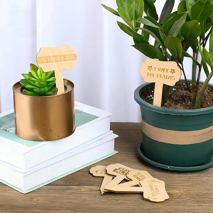 24 Pcs Funny Plant Makers Label Wooden Plant Sign Tag for Succulent Flower Greenery with Stake Interesting Word Cute Pattern Garden Marker for Outdoor Indoor Patio Supplies Gardener Novelty Gift