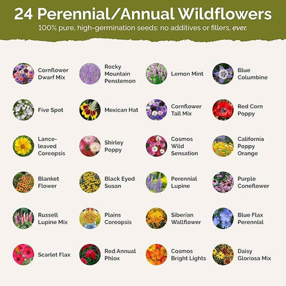 Eden Brothers Western Wildflower Mixed Seeds for Planting, 5 lb, 2,400,000+ Seeds with Cornflower, Blanket Flower | Attracts Pollinators, Plant in Spring or Fall, Zones 3, 4, 5, 6, 7, 8, 9, 10