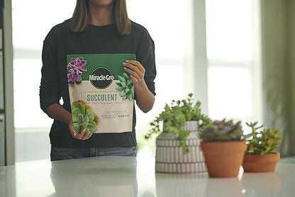 Miracle-GRO Succulent Potting Mix, for Indoor Succulents, Aloe Vera and More, Made with Miracle-GRO Plant Food, 4 qt. (3-Pack)