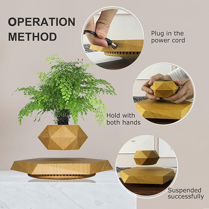 Levitating Plant Pot, Magnetic Levitation Flower Pot Rotating Planters Suspension Floating Plant Succulents Potted for Home Living Room Office Desk Decoration (Wood)