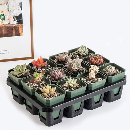 foxany 3" Plants Nursery Pot, 30 Pcs Thick Plastic Square Planting Pots, Plant Seedling Pots, Seed Starting Pots with 30 Saucers - Black-Green