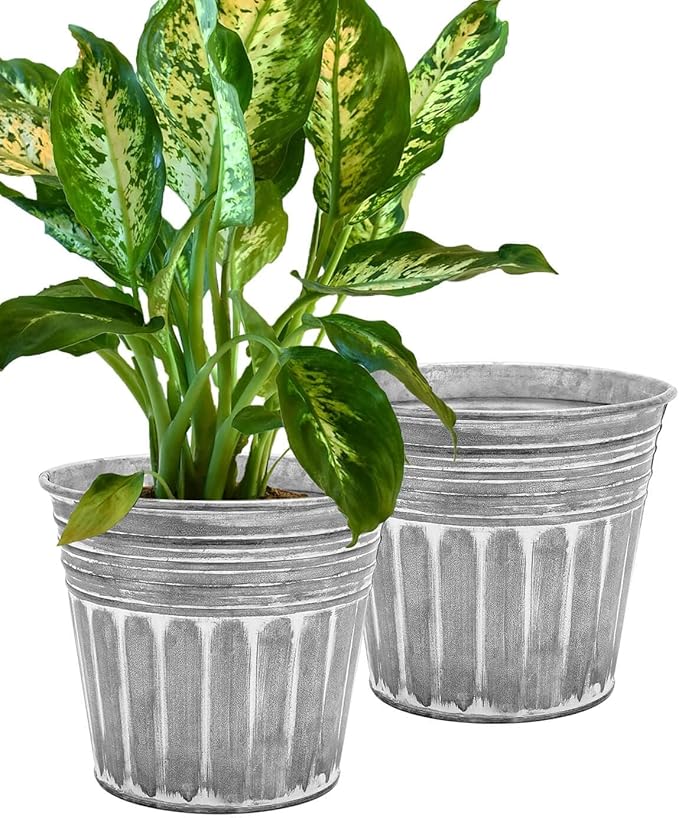 vensovo 11 Inches Silver Metal Rustic Plant Pots - 2 Pcs Large Galvanized Planters with Drain Hole and Rubber Plug, Rustproof Tin Bucket Flowerpot for Indoor Plants Farmhouse Vintage Style for Decor