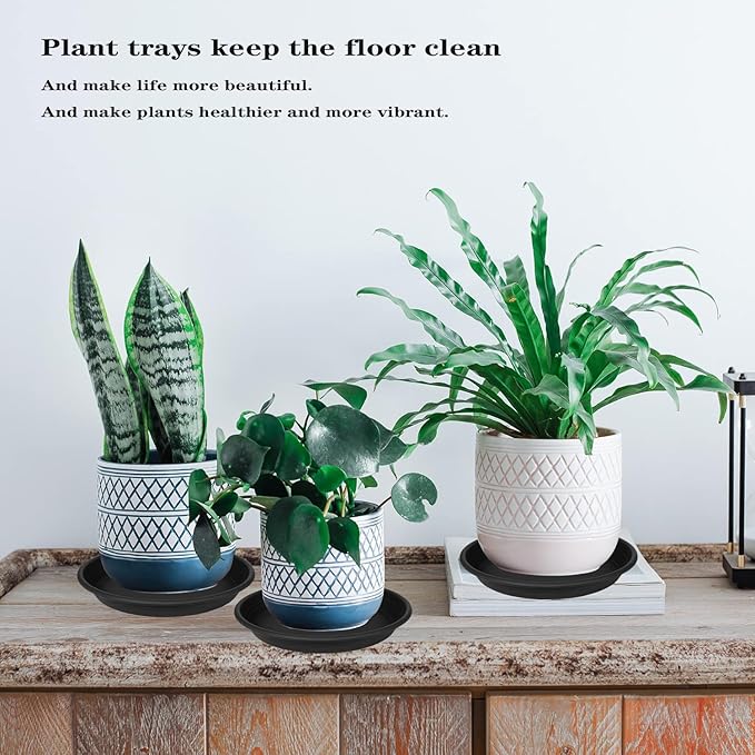 6 Pack of 12 inch Plant Saucer Plant Tray, Plastic Plant Saucer 12 inch, Heavy Duty Plant Tray for Pots, Plant Saucers for Indoors Planter, Garden Water Plate Bowls 10"/11"/12" (Black)