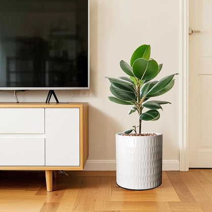 10 Inch Plant Pot,Ceramic Planter with Drainage,Large Planters for Indoor Plants,Indoor&Outdoor Plant pots,Ceramic Flower pots,Cylinder Flower Planter Pot(Pure White)