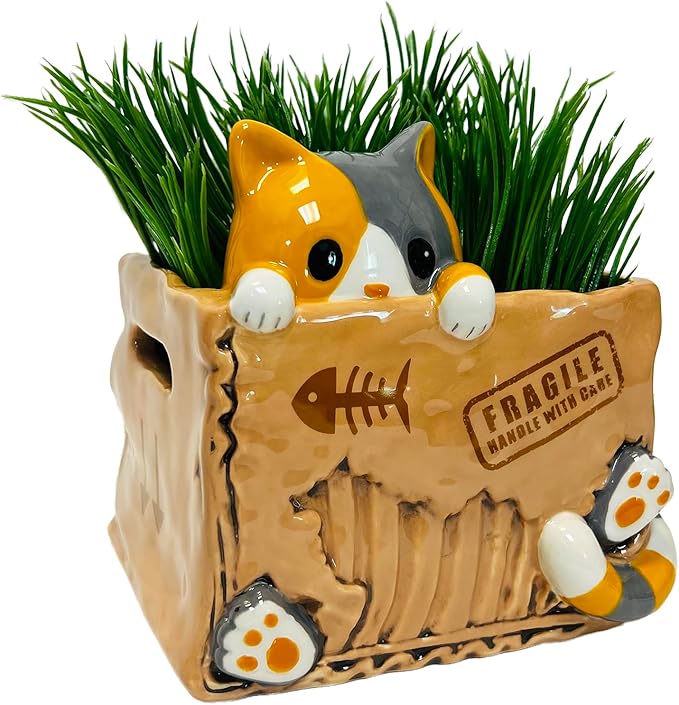 Box Planter with Cat Design by Streamline