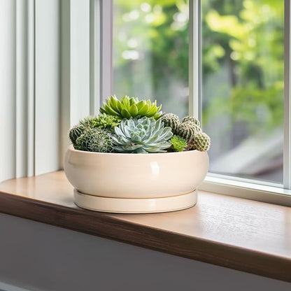 Bonsai Pots - 10 Inch Ceramic Succulent Planters Indoor Outdoor, Bonsai Planters with Drainage Hole and Saucer, Round Shallow Planter, Bowl Planter, House Decor, Gifts for Plant Lover, Beige