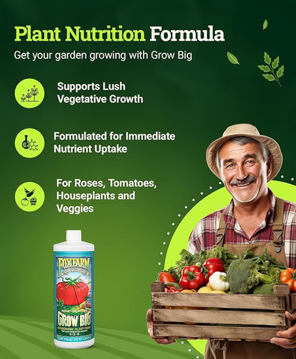 FoxFarm Grow Big Hydroponic Plant Food - 3-2-6 Liquid Plant Fertilizer for Lush Vegetative Growth in Hydroponic Systems - Liquid Concentrate with Earthworm Castings & Micronutrients - 1 Quart