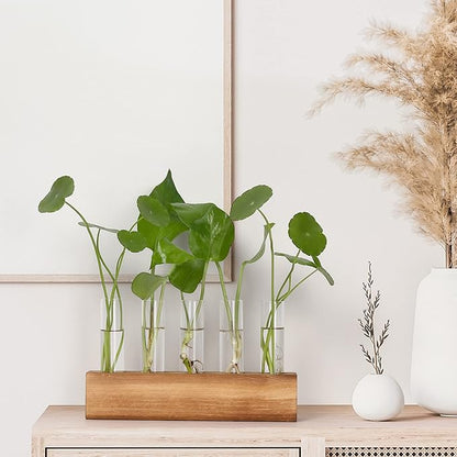 YIBOT Propagation Stations, Plant Terrarium with Wooden Stand, Birthday Gardening Gifts for Women Mom Plant Lovers,Home Office Desk Decor, 5 Glass Test Tubes Vases