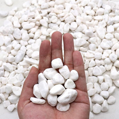Rocks for Plants. White Decorative Pebbles. 0.5 to 1 Inch 18 lbs. for Garden, Landscaping, Indoor, Vase fillers, Crafting, Succulents, pots, Plants