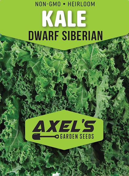 Kale Seeds for Planting - Plant & Grow Heirloom Kale Varieties Home Outdoor Garden – Easy Grow Planting Packet Instructions Included, Great Gardening Gift – 3 Packets of Each Variety