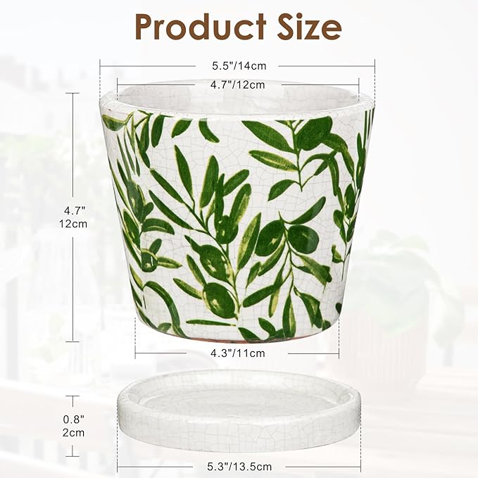 Oairse Small Ceramic Pot for Indoor Plants - 5.5 inch Plant Pot with Drainage Hole and Saucer Olive Leaves Decorative Planter Indoor Outdoor Flower Pots for Succulent Snake Pothos Plant Cactus Orchid