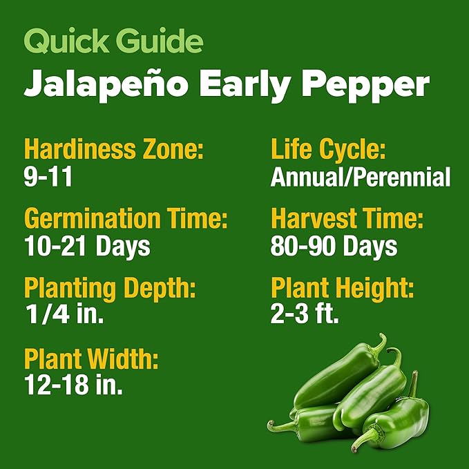 HOME GROWN Non GMO Jalapeno Pepper Seeds 129 Heirloom Seeds (Capsicum annuum) High Germination, Easy to Grow, Early Harvest Hot Peppers