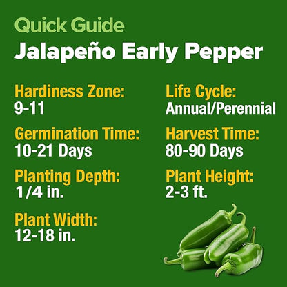 HOME GROWN Non GMO Jalapeno Pepper Seeds 129 Heirloom Seeds (Capsicum annuum) High Germination, Easy to Grow, Early Harvest Hot Peppers