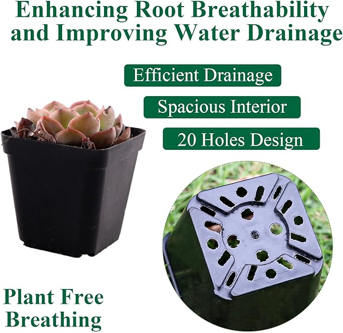 150 Packs Square Nursery Pots for Plants 2.2 Inch Succulent Plant Pots Set Plastic Seedling Starting Pots with Drainage Holes Nursery Pots Variety Pack Flower pots Planter Seed Starter, Black