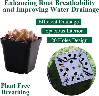 150 Packs Square Nursery Pots for Plants 2.2 Inch Succulent Plant Pots Set Plastic Seedling Starting Pots with Drainage Holes Nursery Pots Variety Pack Flower pots Planter Seed Starter, Black