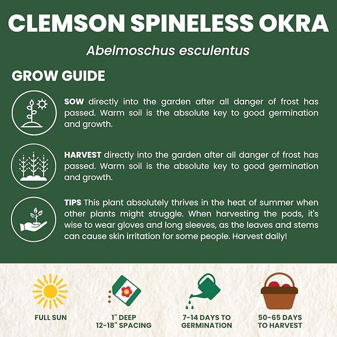 Okra Clemson Spineless – 225 Premium Seeds for Planting – High-Yield, Tender Heirloom Pods for The 2026 Season – 15 Gram Pouch