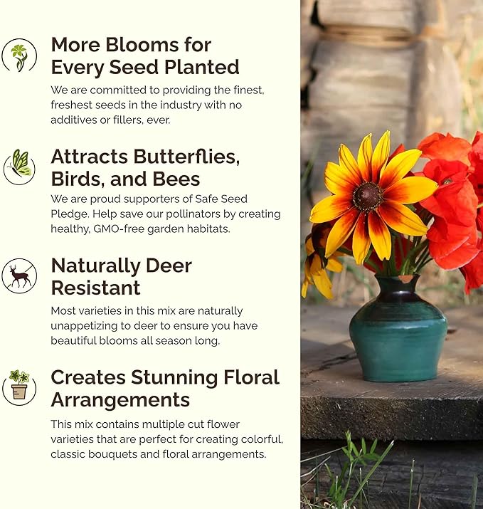 Eden Brothers North Carolina Wildflower Mixed Seeds for Planting, 1/4 lb, 120,000+ Seeds with Cornflower, African Daisy | Attracts Pollinators, Plant in Spring or Fall, Zones 3, 4, 5, 6, 7, 8, 9, 10
