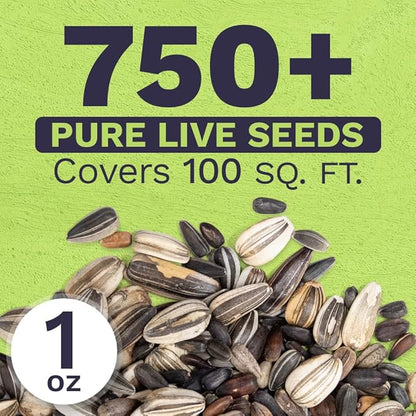 Sunflower Variety Mix 10 Types of Beautiful Sunflowers - Bulk 1 Ounce Packet - Open Pollinated Sunflower Seeds
